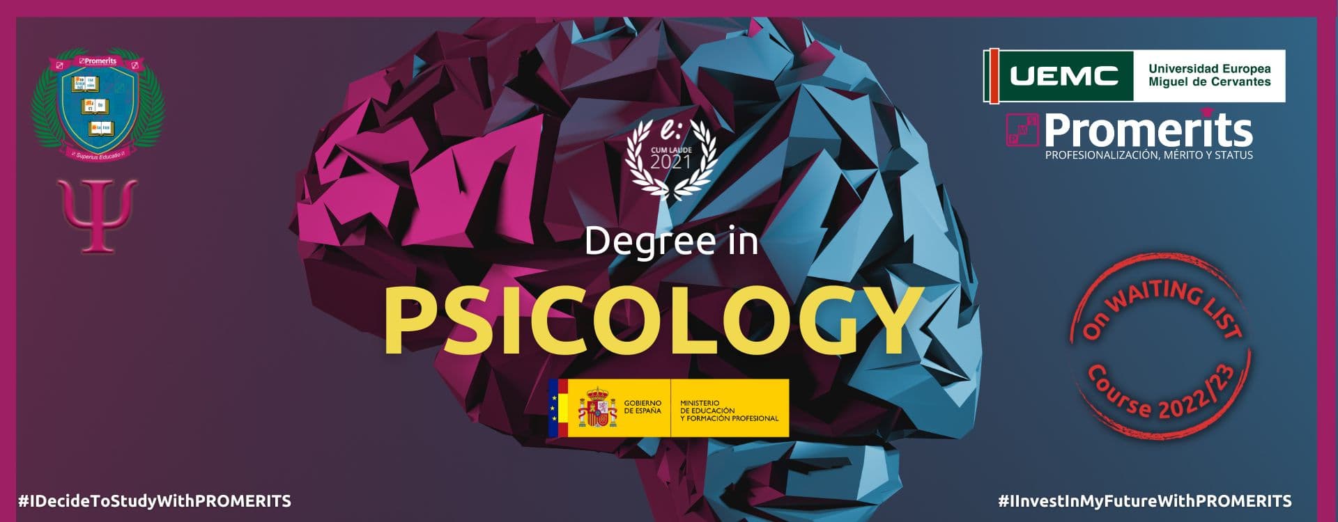 Degree in Psicology
