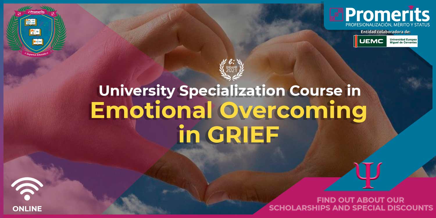 Emotional Overcoming In Grief