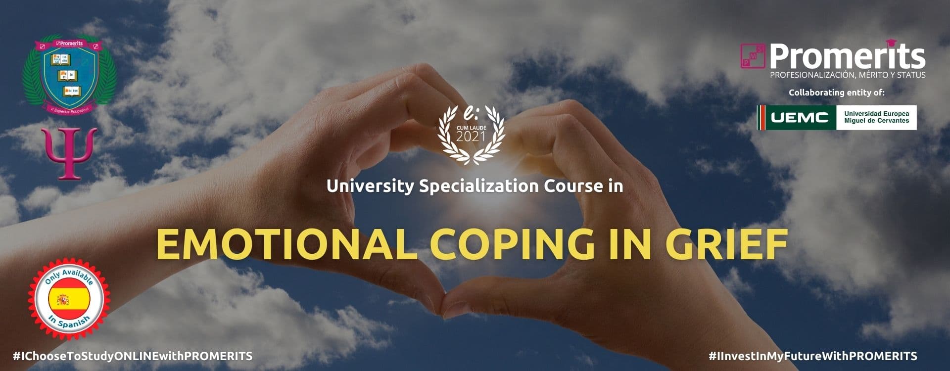 University Specialization Course in Emotional Coping in Grief